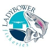 Ladybower Fisheries