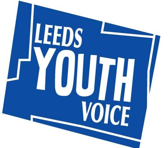Leeds CC Voice Influence and Change Team