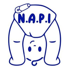 North East Action for Children Parents and Inclusion (NAPI)