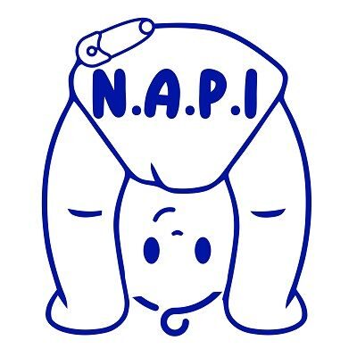 North East Action for Children Parents and Inclusion (NAPI)