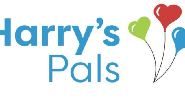 Harry’s Pals