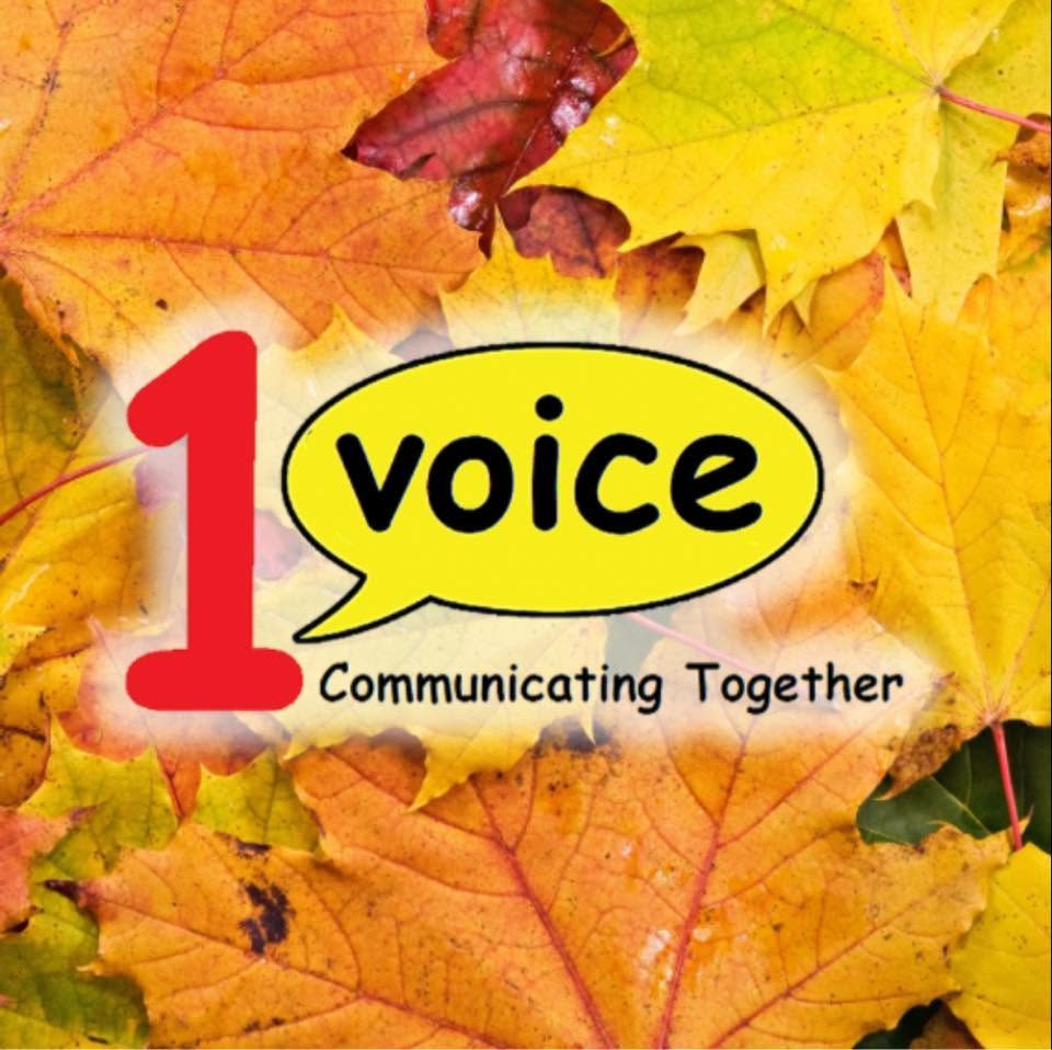 1Voice - Communicating Together